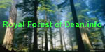 Royal Forest of Dean.info